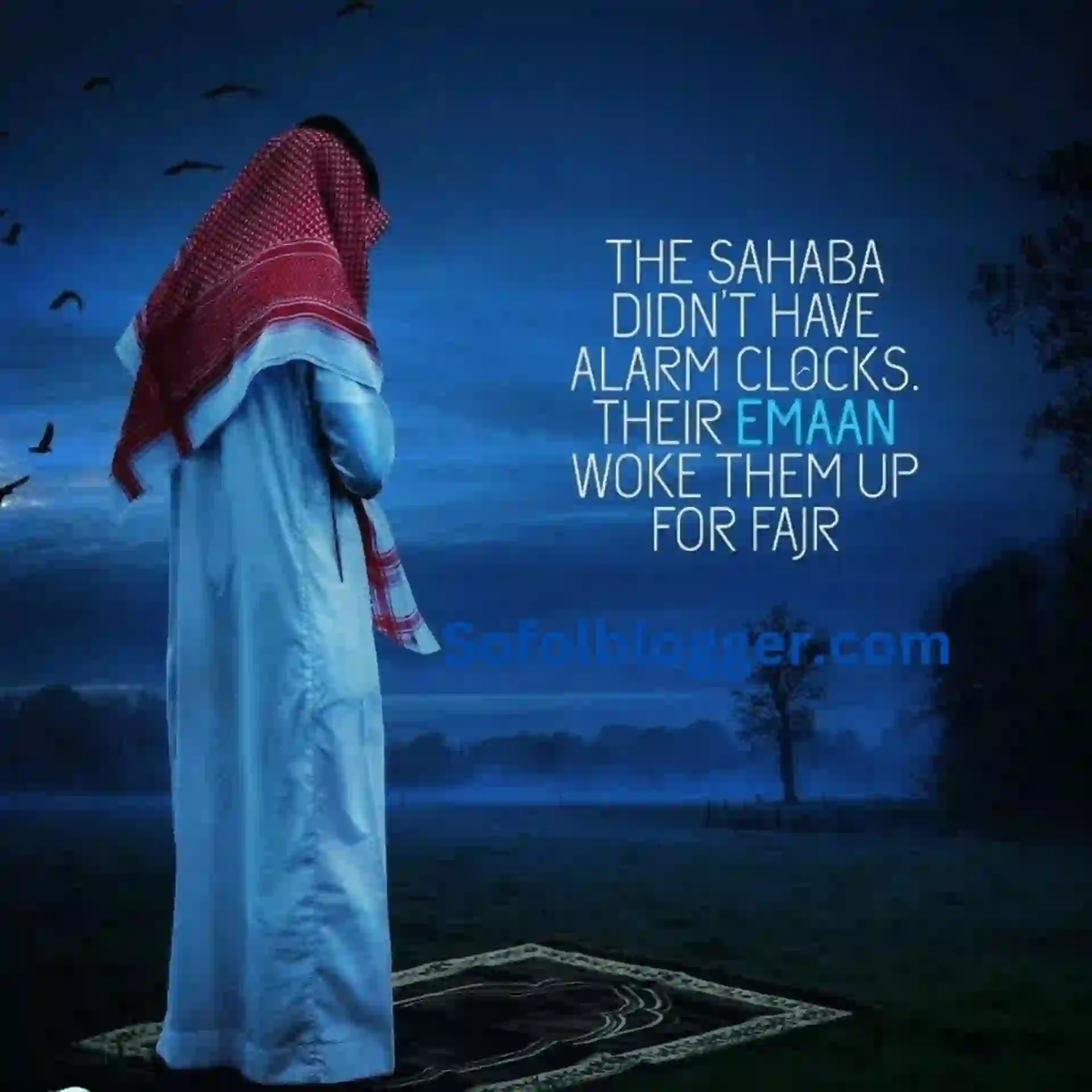 Islamic Captions and Quotes
