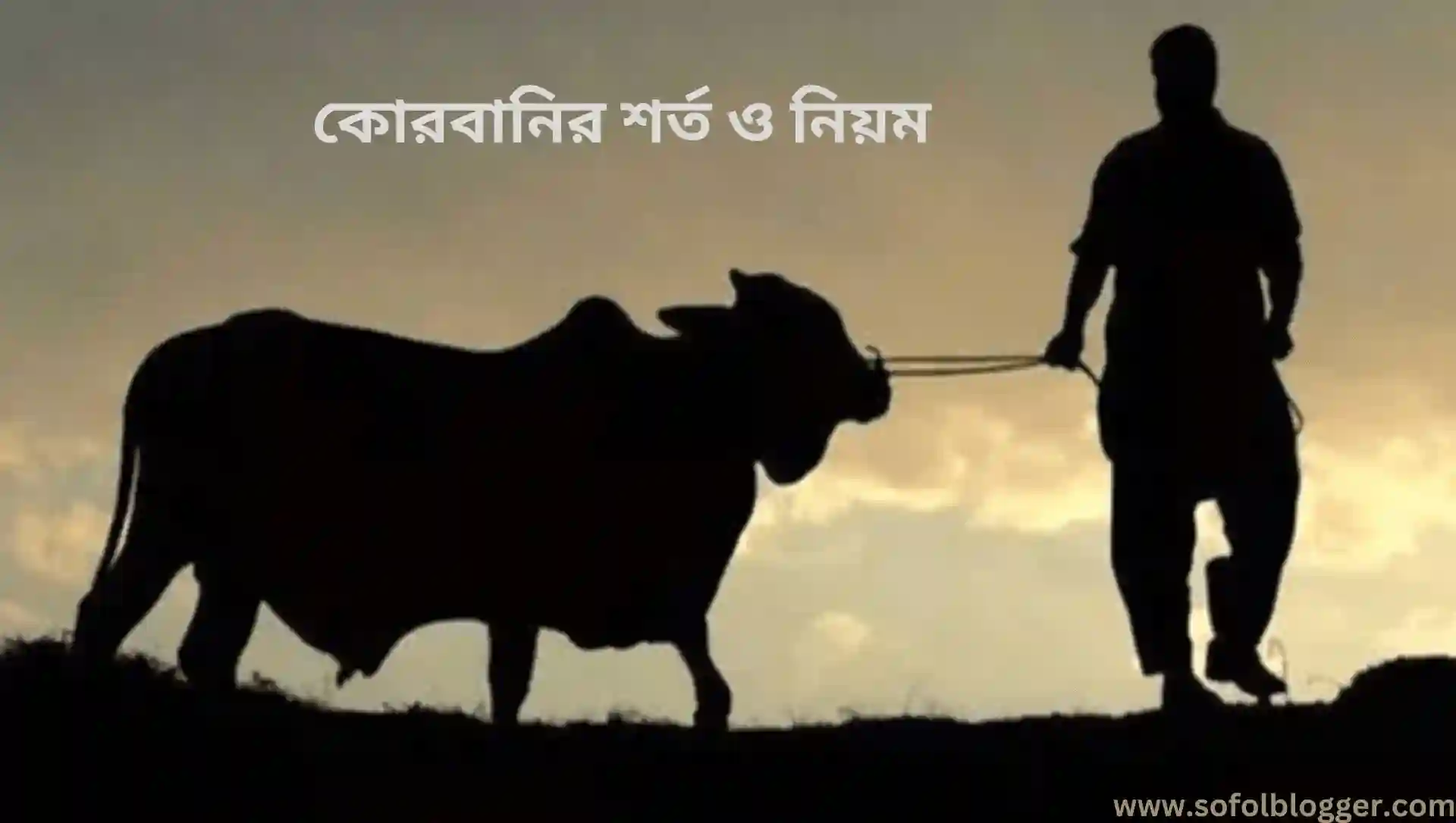 কোরবানির শর্ত ও নিয়ম