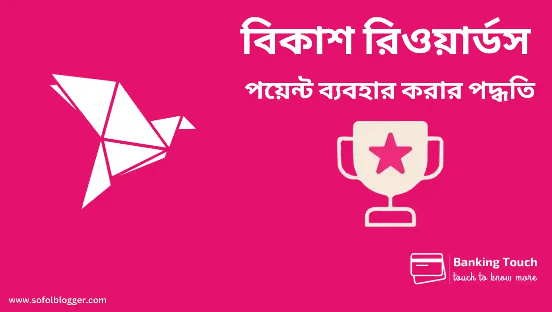 বিকাশের পয়েন্টস এবং রিওয়ার্ডস