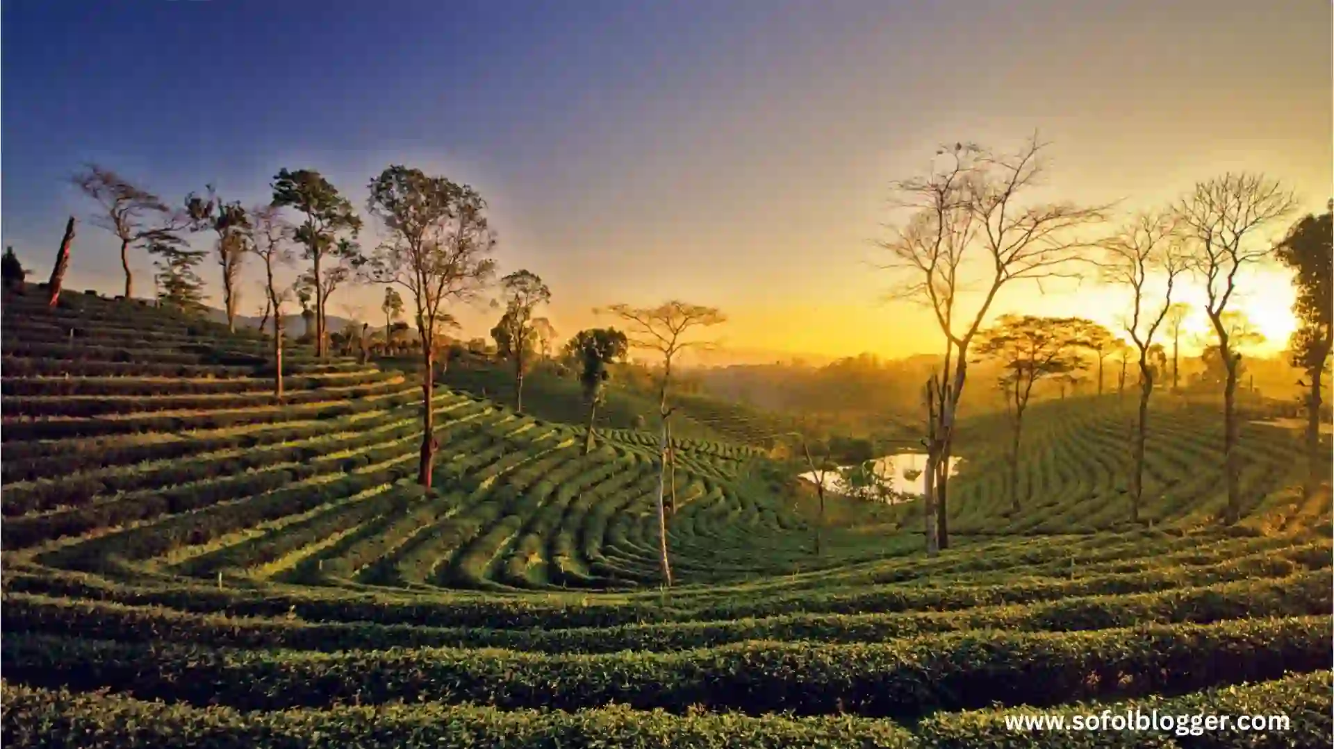 অসম (Assam)